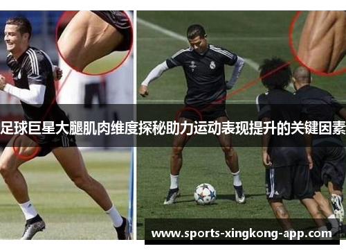 足球巨星大腿肌肉维度探秘助力运动表现提升的关键因素